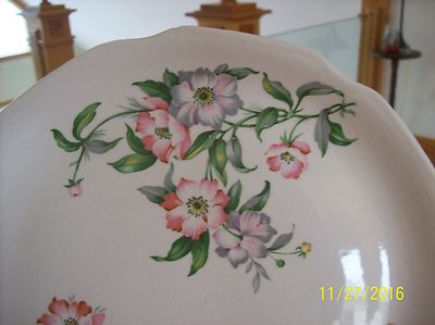 Fruit Blossom Floral Spray Porcelain Decorative Vintage Plate