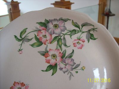 Fruit Blossom Floral Spray Porcelain Decorative Vintage Plate