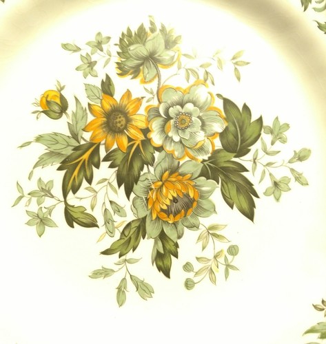 Vintage Ridgeway Ironstone Spring Garden 10