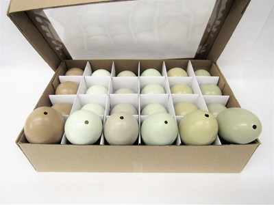 Lot of 24 Blown Hollow Painted Americana Chicken Hen Eggs Set Spring