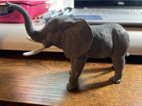 ELEPHANT 2冊 Ania Animal Adventure African Elephant