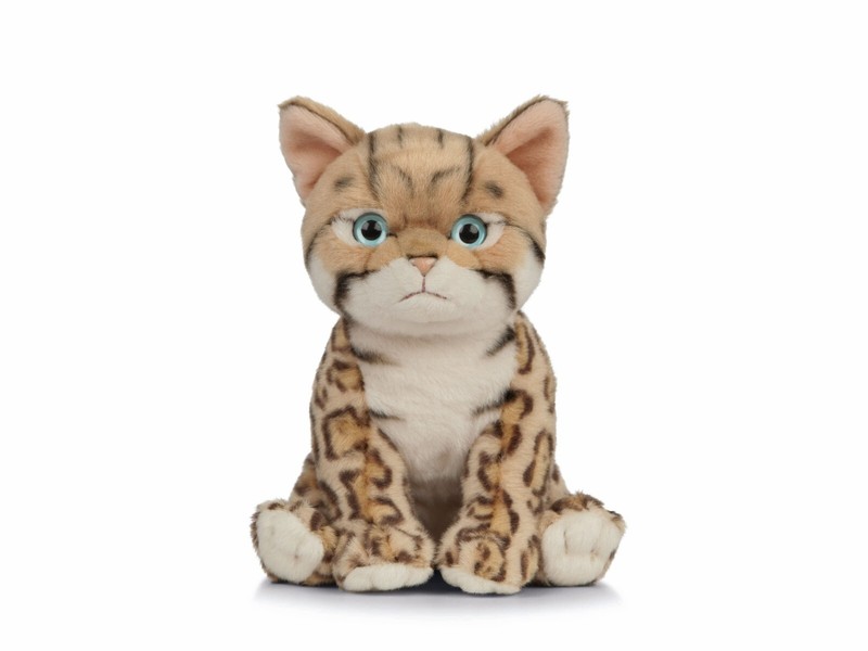 Living Nature Bengal Kitten An448 RÃ©Aliste 16cm Animal CÃ¢Lin Peluche Teddy Chat