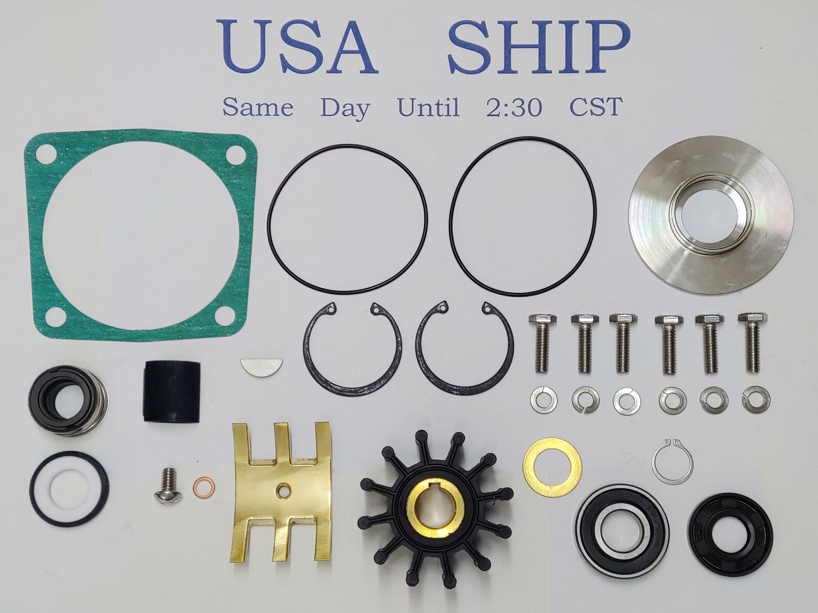 yocchan さん専用‼️ Size Down レボリューション Onan Generator Sea Water Pump 132-0356 132-0413 Major Repair