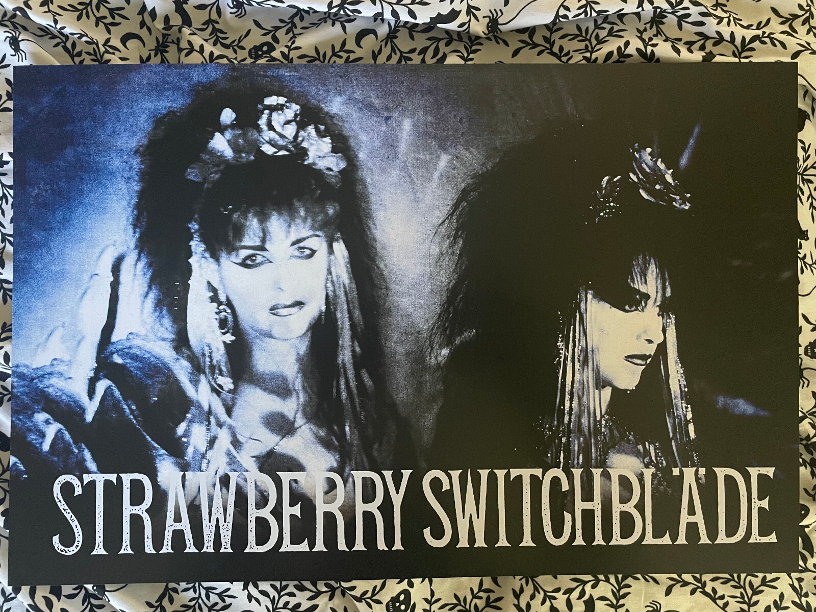STRAWBERRY SWITCHBLADE オリジナル　ポスター付き $_57.JPG?set_id=880000500F