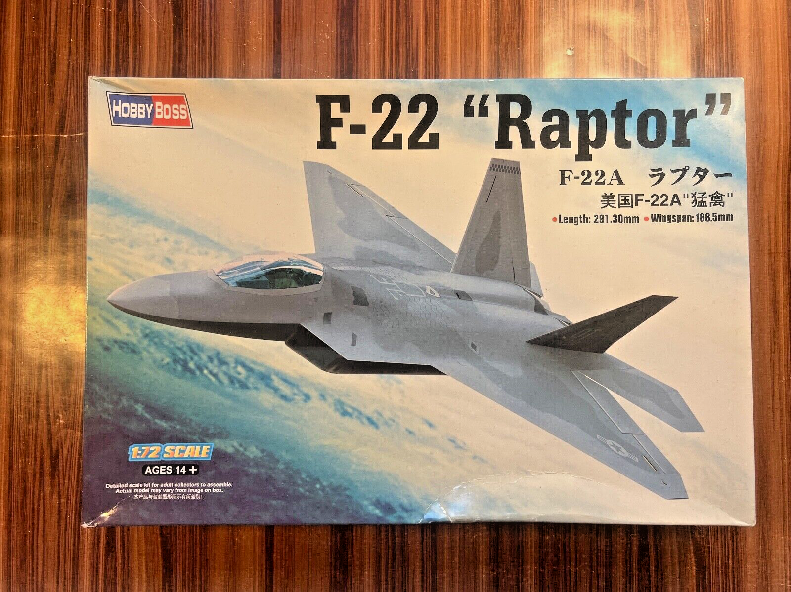 F-22 Raptor Model Kit