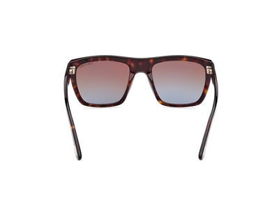 Pre-owned Tom Ford Ft1077 52f Plastic Dark Havana Gradient Brown 55 Mm Men's Sunglasses