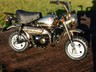 Honda Monkey Bike Gold Chrome Limited Edition Z50J 1998 49cc
