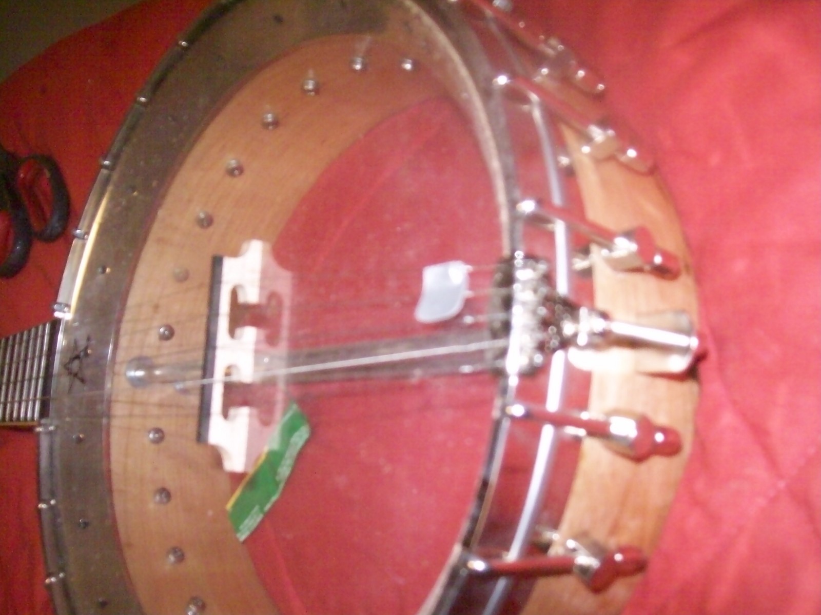 Remo banjo head clear  10 3/4