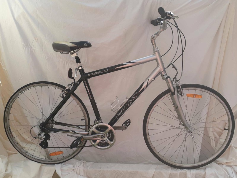 giant elwood se price