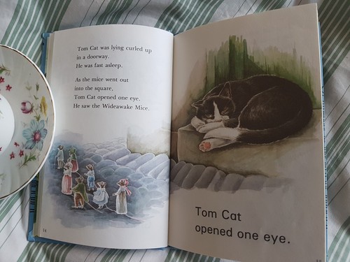 Puddle Lane 'Tom Cat and the Wideawake Mice' Ladybird children's book