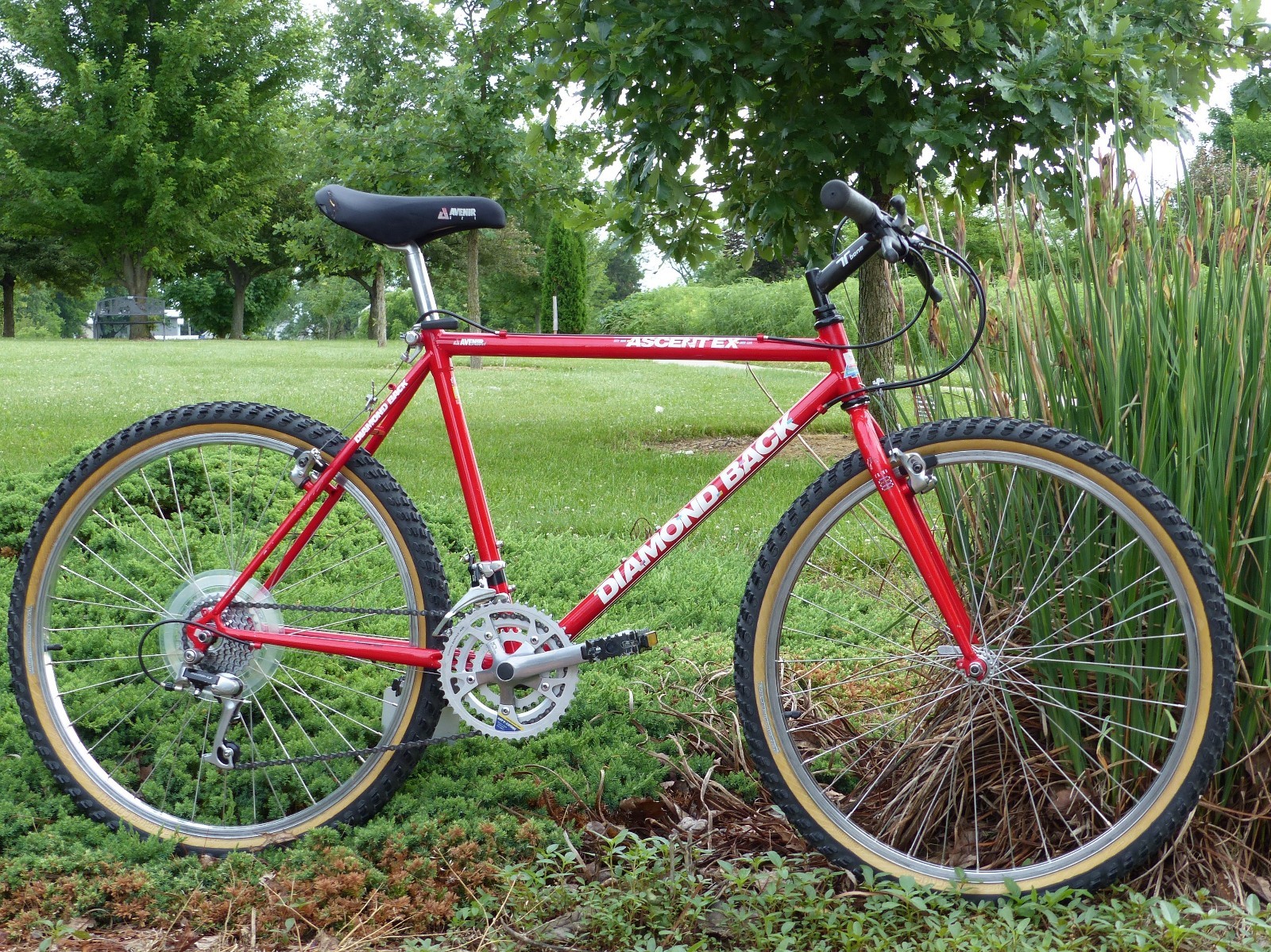 1989 Diamond Back (Diamondback) Ascent EX, 19", Shimano Mountain LX, VG Cond