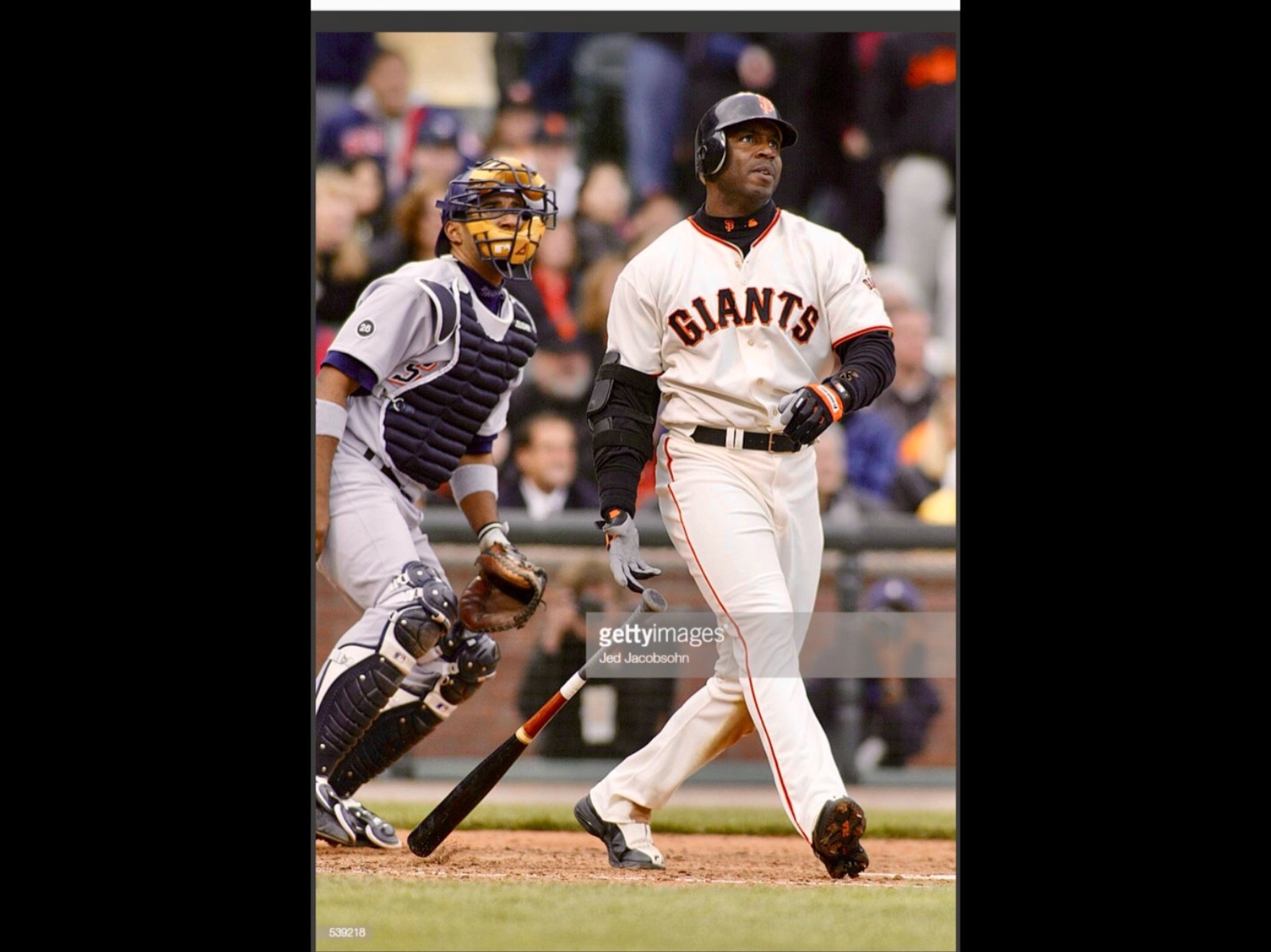 2002 Barry Bonds Game Used Bat -  Perfect PSA 10! MVP and World Series Season!