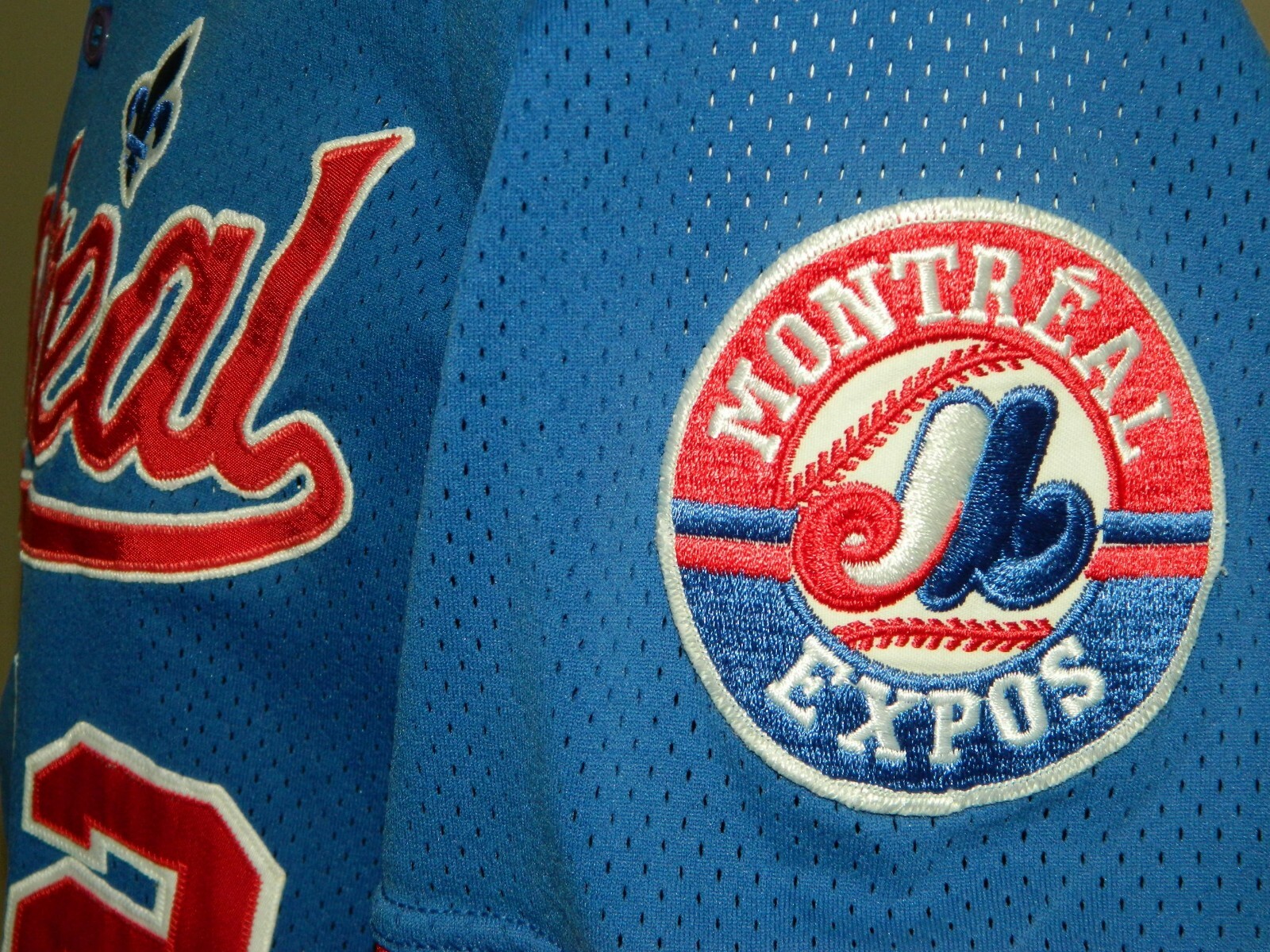 1998 Raul Chavez Game Worn Montreal Expos BP Jersey #12 - Majestic Size XL