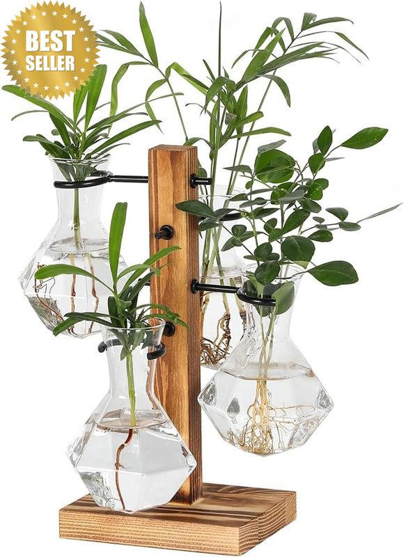 Desktop Hydroponics Air Planter Holder, Propagation Station Plant Terrarium with