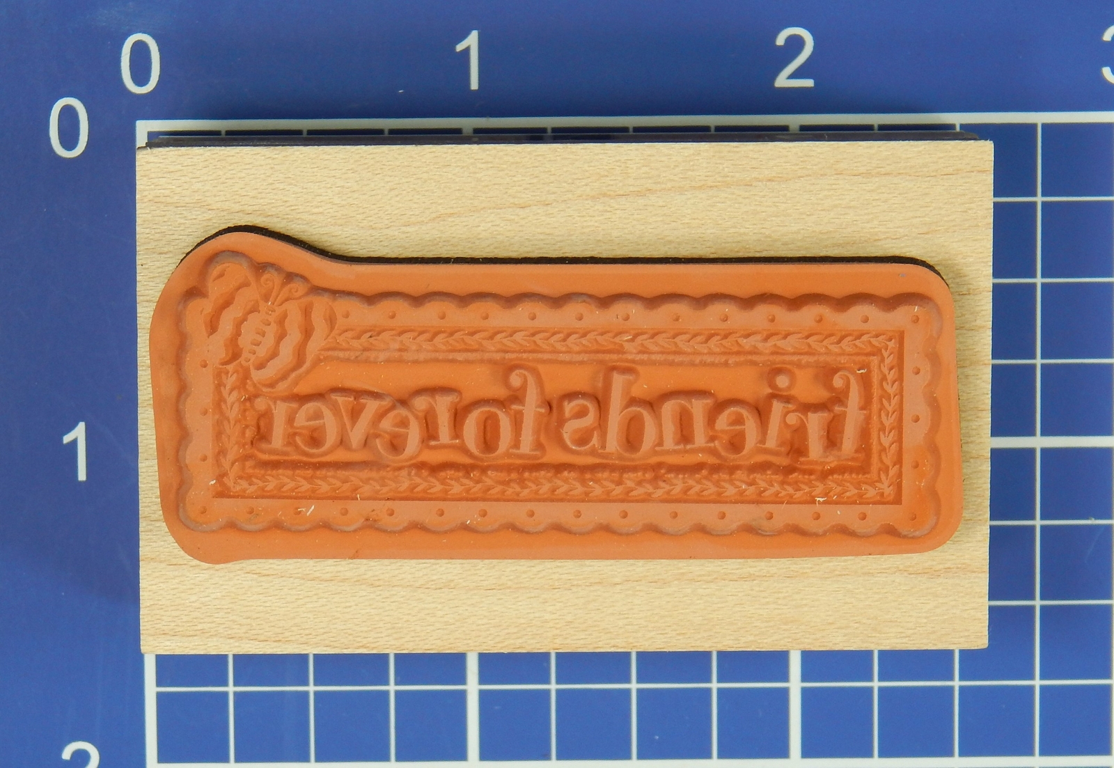 FRIENDS FOREVER, Wood Mounted Rubber Stamp by Tim Coffey, Inkadinkdo K & Company