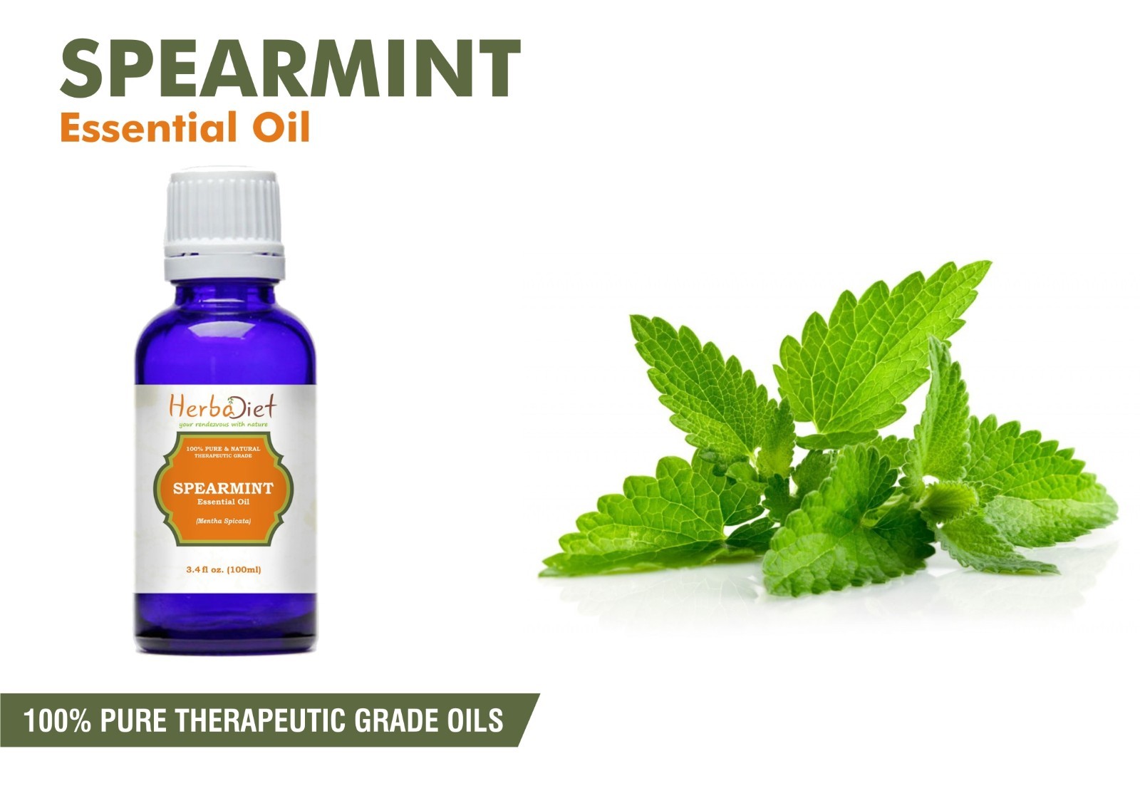 Spearmint Essential Oil 100 Pure Natural PREMIUM Uncut Therapeutic