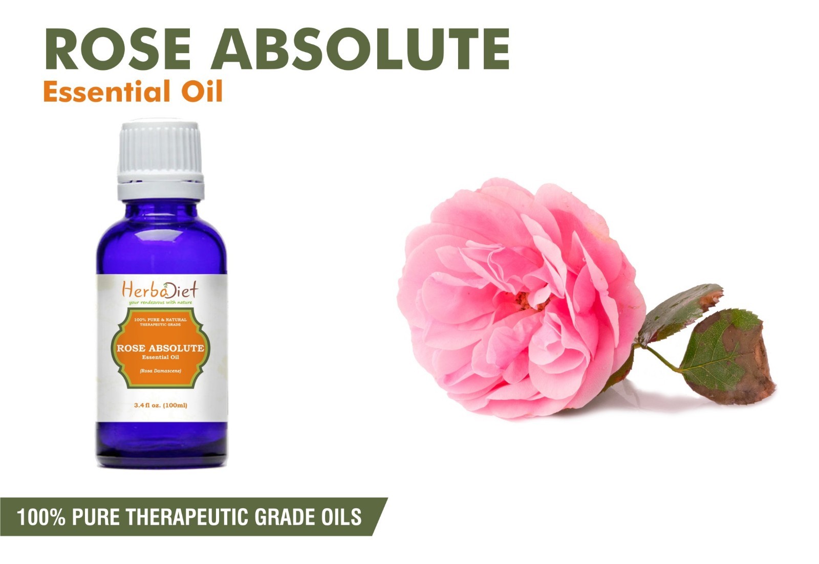Rose Absolute Essential Oil 100 Pure & Natural Aromatherapy
