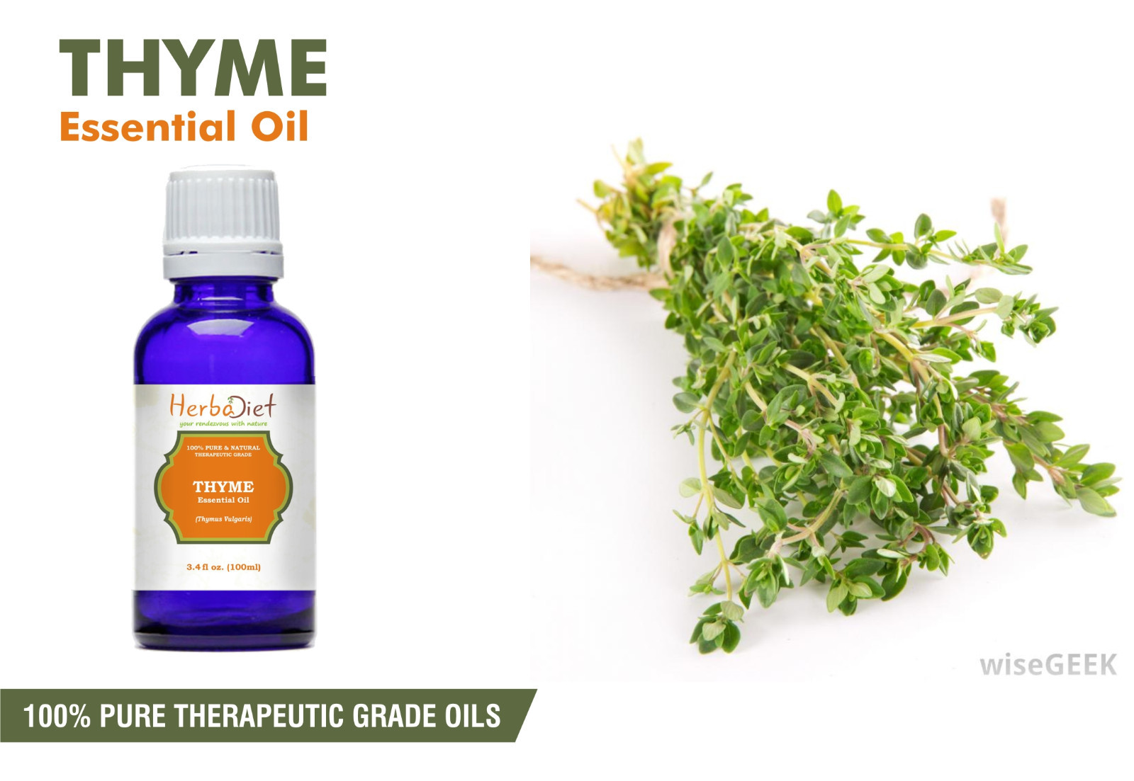 Thyme Essential Oil 100 Pure Natural Aromatherpay UNCUT Therapeutic