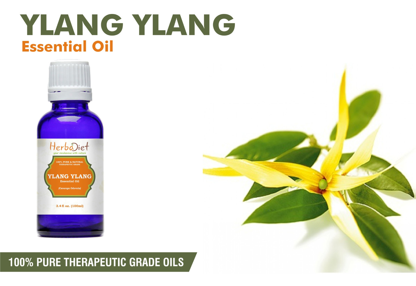 Ylang Ylang Essential Oil 100 Pure Natural Aromatherapy Therapeutic