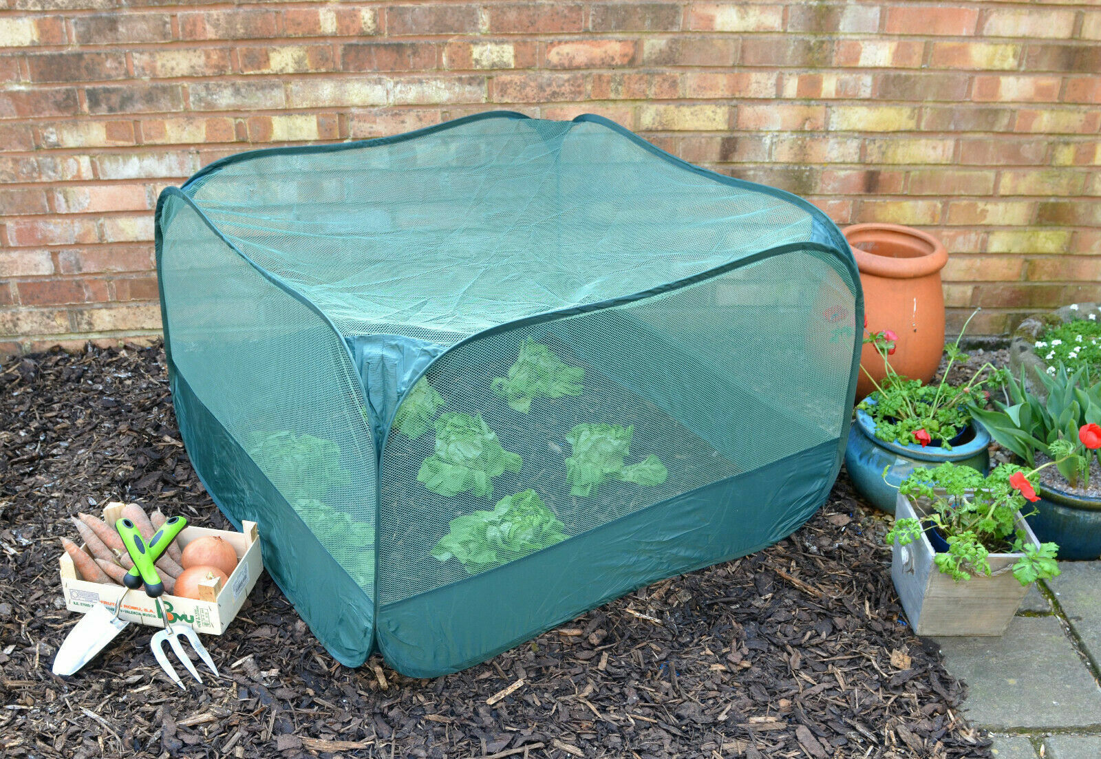 GardenSkill Bamboo Cane & Plant Stake Connector Balls To Create Plant Supports Fruit Cages Covers Pk 8