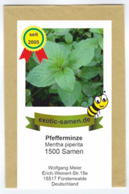 Pfefferminze - Mentha piperita - 1500 Samen