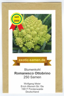Blumenkohl - Romanesco Ottobrino - 250 Samen