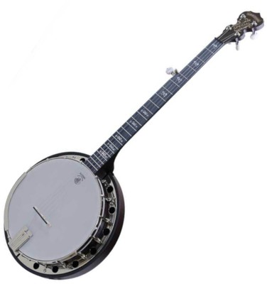 Deering AS Artisan Goodtime Special Banjo with Resonator