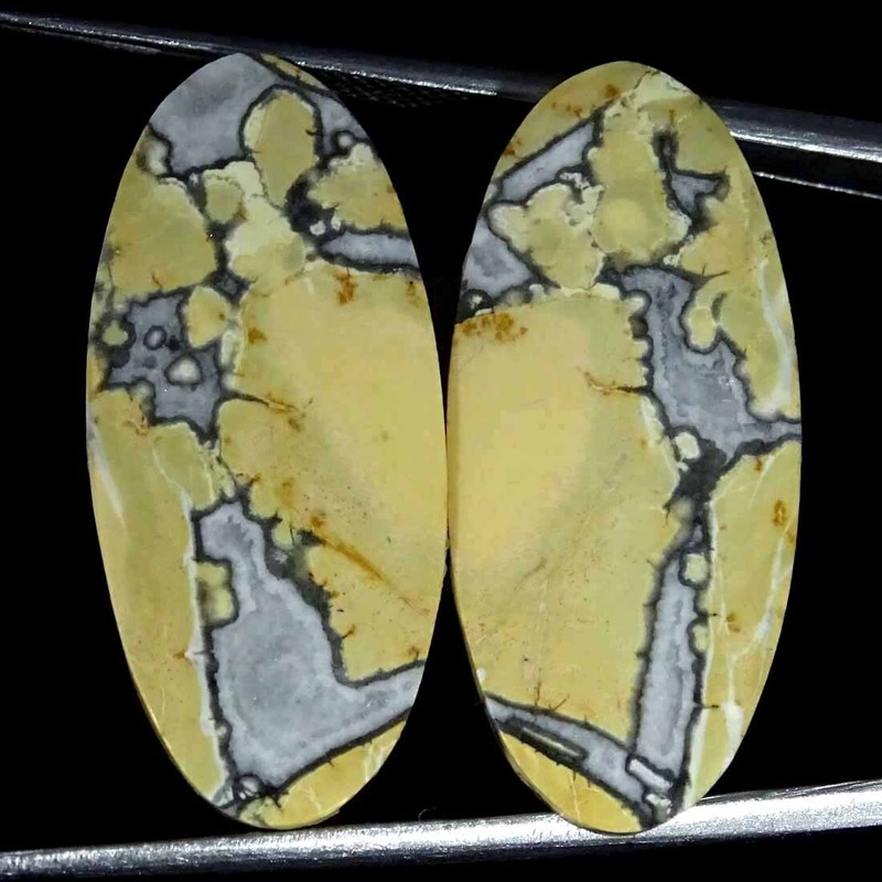 23.20 Carats Naturel Maligano Jasper DesserÃ© Gemme Ovale Cabochon Pair 13x29x3mm