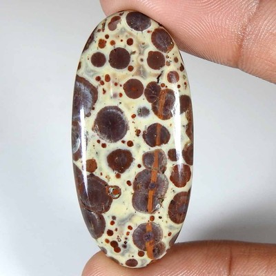 34.30Cts. 100% Natural Designer Asteroid Jasper Oval Cabochon Loose Gemstone