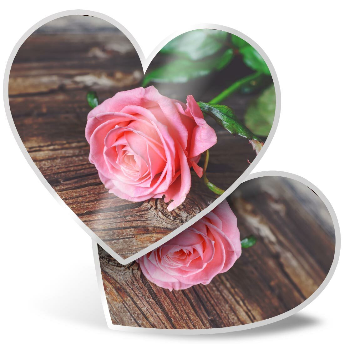 Pink♡Rose blessing-pink-rose-50-75-100-