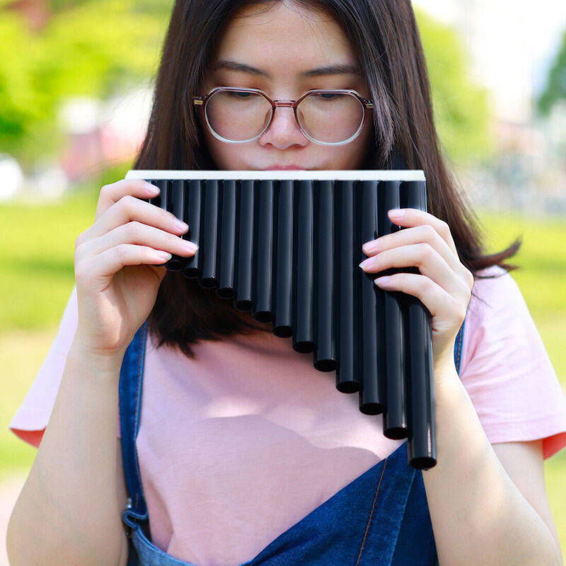 New Beginners Pan Flute 16 Pipes Music Instrument Panpipe Easy Learn Awesome