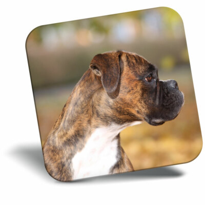 Awesome Fridge Magnet - Cute Boxer Puppy Dog Pet Fun Cool Gift #2694