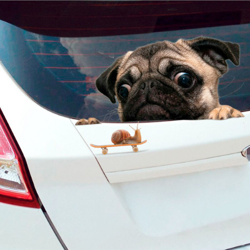New Funny 3D Pug Dog Watching Snail Back Car Window Decal Cute Pet Puppy Sticker