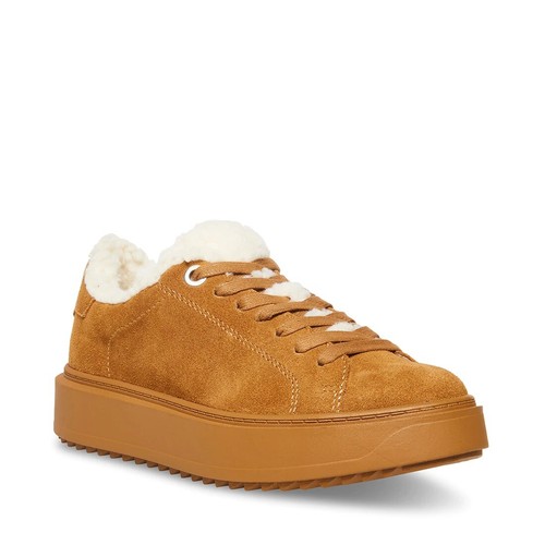 

Женские замшевые кроссовки Steve Madden Catcher, каштановый, Каштан