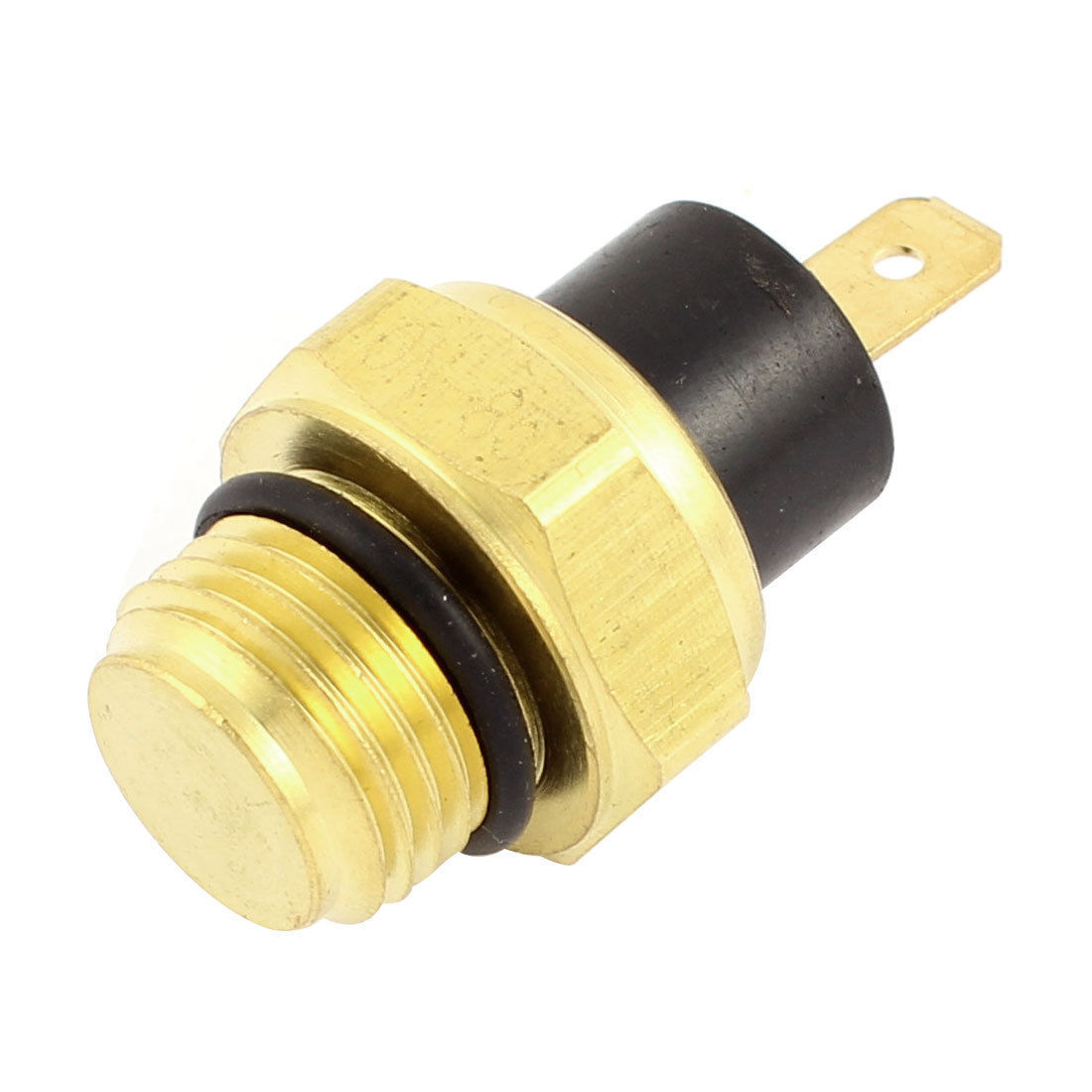 Athena Motoren und Motorteile für Motorräder