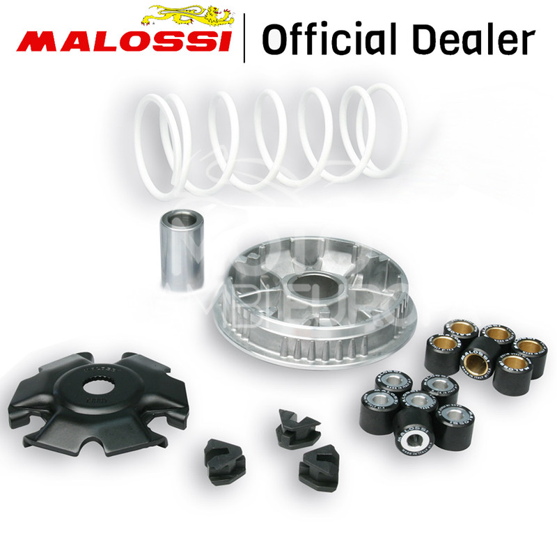 Variateur Malossi Multivar Vespa Primavera 3v 150 Ie 4t Euro 3 2014-> (M812m)