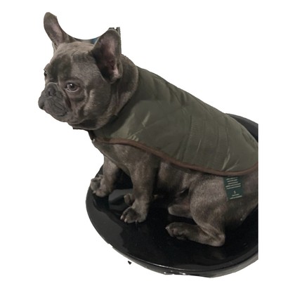

Пальто для собаки GH Bass - Co., оливковое, маленькое, Olive, RP106