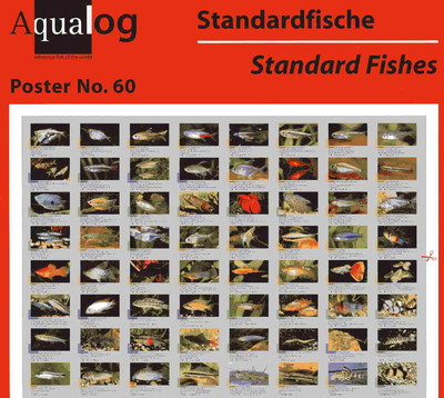 AQUALOG - Fold Poster Fish for Beginners