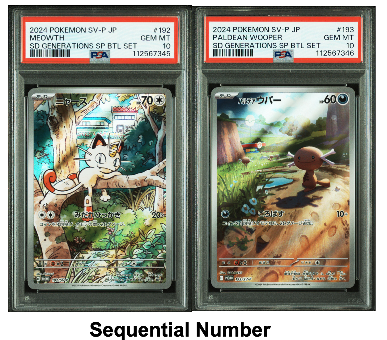 【連番】PSA 9　ニャース　パルデアウパー　プロモ　meowth ニャースプロモ パルデアウパー PSA9 連番