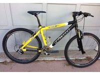 giant bike 26