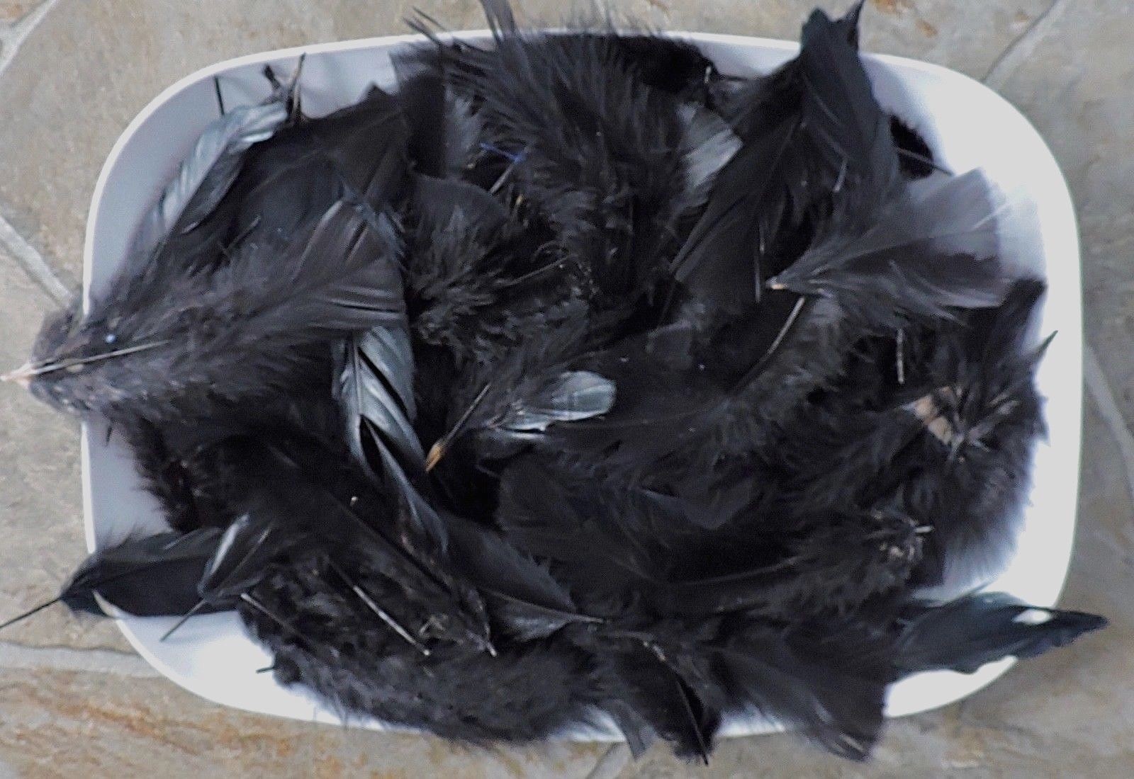 365+ Dyed FEATHERS, Black/White/Mint/Blue, Crafts, Fly Tying, Dream Catcher, etc