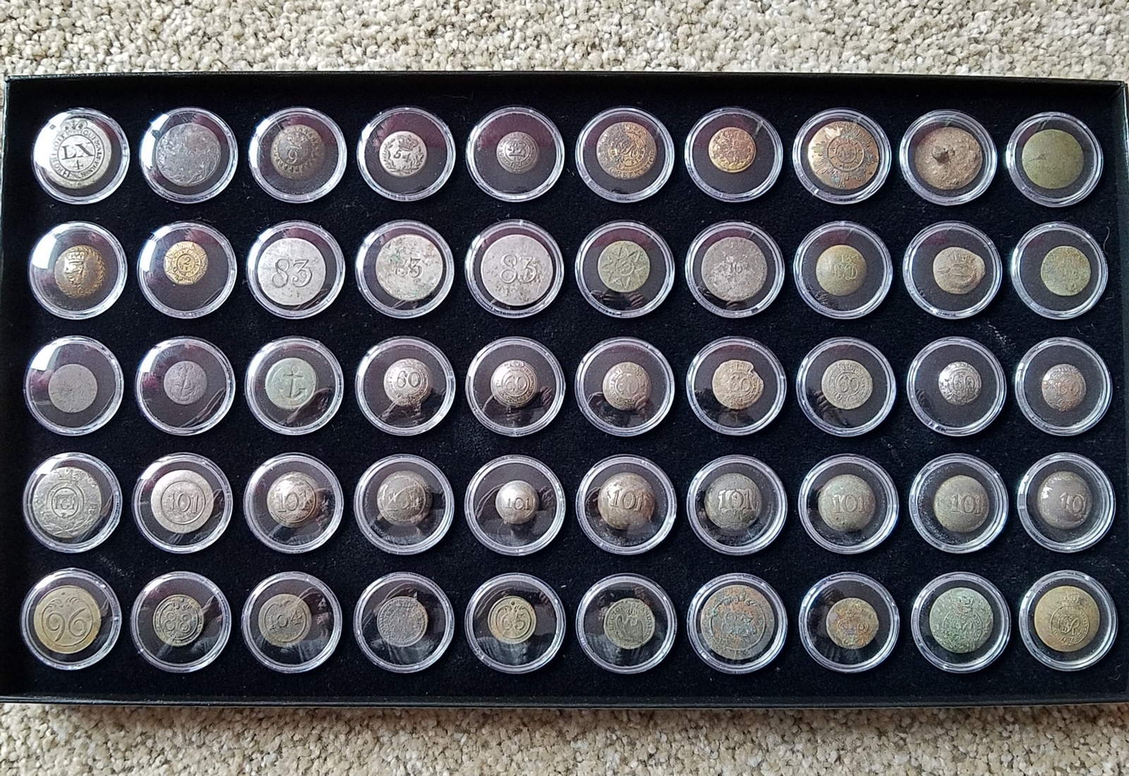 50 Quarter Size Lucite Cups in 14 x 8 x 1 Riker Display Case Coins