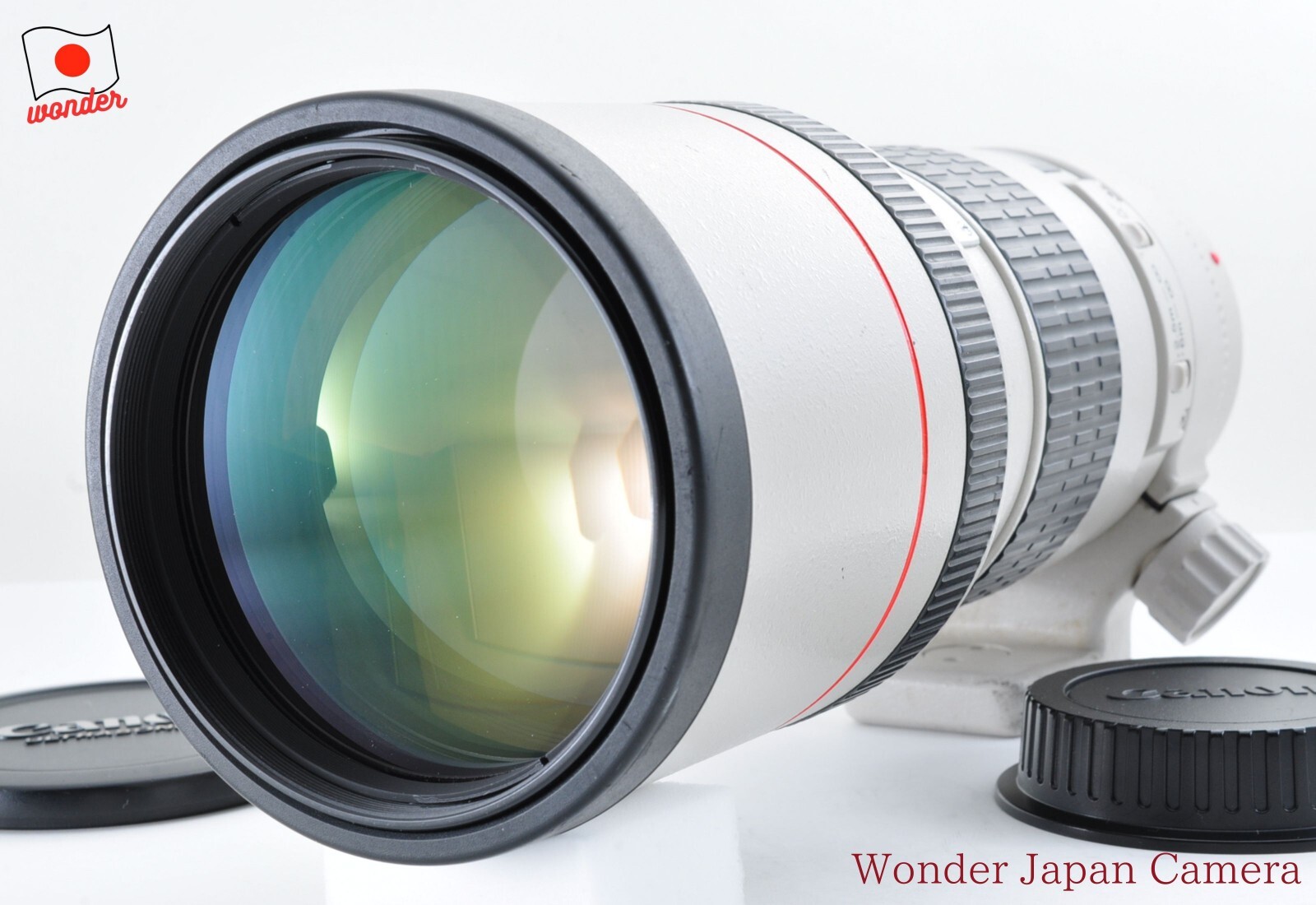 Near Mint ] Canon EF 300mm f/4 L USM AF Telephoto Lens from