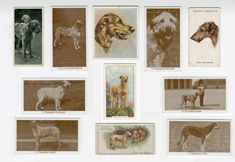 IRISH WOLFHOUND COLLECTION OF DOG COLLECTABLE CIGARETTE & TRADE CARDS