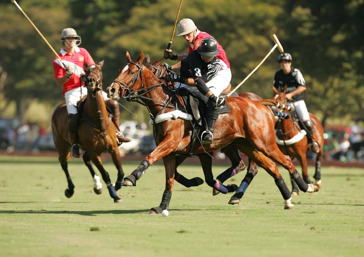 благородный спорт. пассато сото фехтование. спортивные скачки на лошадях. скачки на ипподроме. ипподром скачки пятигорск ралли.