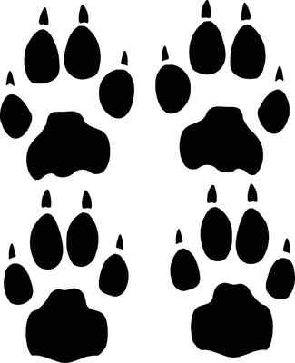 CHEETAH track / footprint sticker / paw print decal
