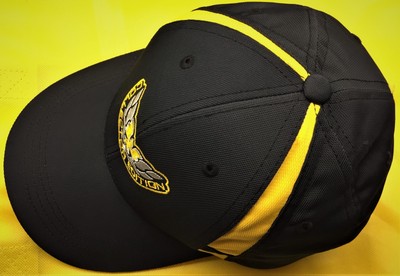 2002 Pontiac Firebird Trans Am Collector Edition Top Quality Sport Tek Cap