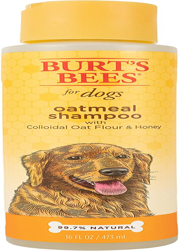 Burt'S Bees for Pets Oatmeal Dog Shampoo | with Colloidal Oat Flour & Honey
