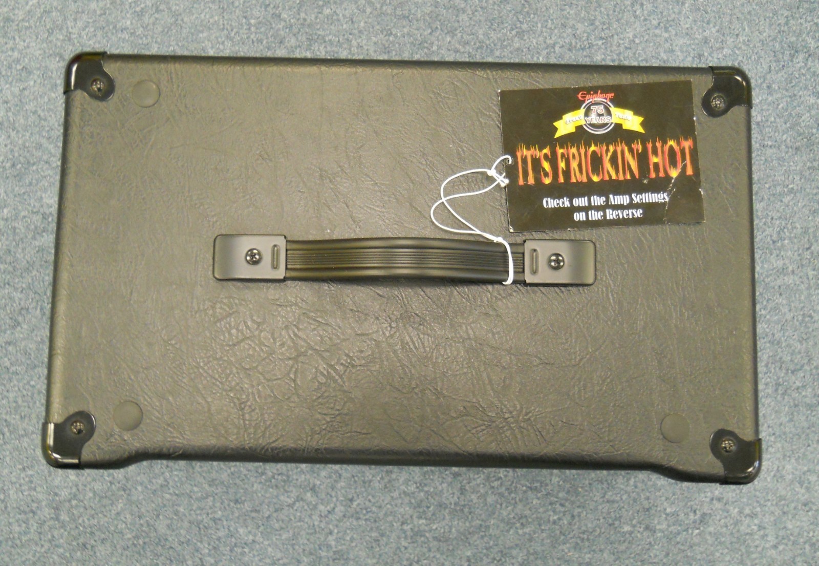 *Rare* Epiphone Valve Senior Amp Head 20 Watt in Excellent condition