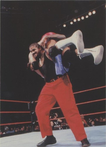 1999 Comic Images WWF WrestleMania Live! - The Godfather #49